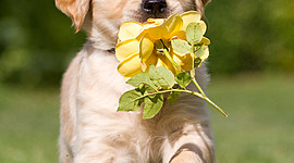 Timeline: Jocelyn's Timeline