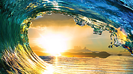 Timeline: Izzy Timeline