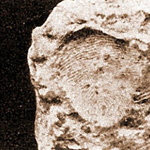 China Finger Printing