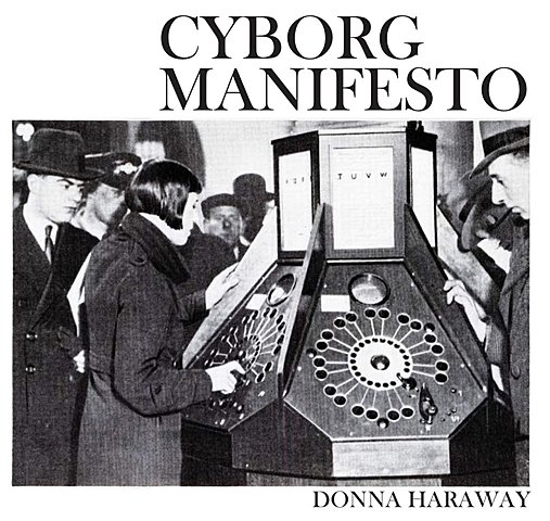 A Cyborg Manifesto