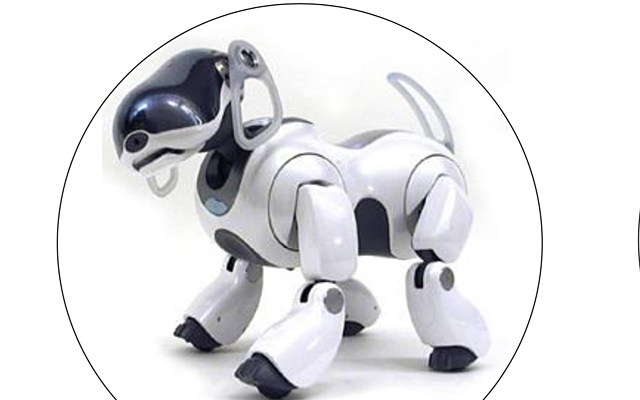 Aibo