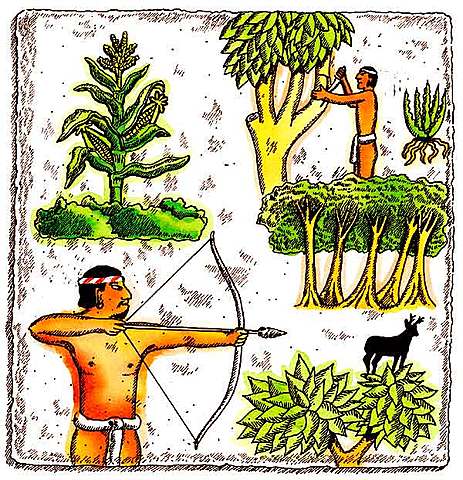 Practica materia orgánica (800)