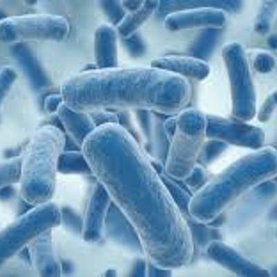 Timeline: HISTORIA DE LA MICROBIOLOGÍA