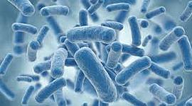 Timeline: HISTORIA DE LA MICROBIOLOGÍA