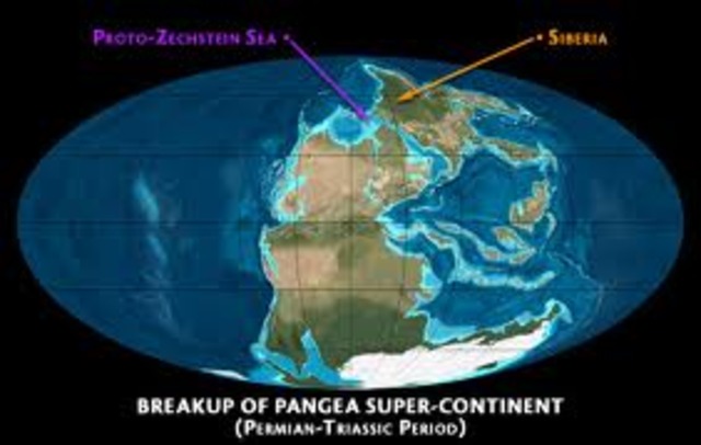 Beginning or the Triassic Period