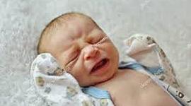 Timeline: Caraacterísticas Principales de Cada Momento del Desarrollo del Lenguaje