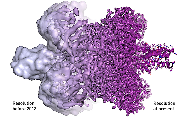 Desarrollo de la criomicroscopía electrónica.