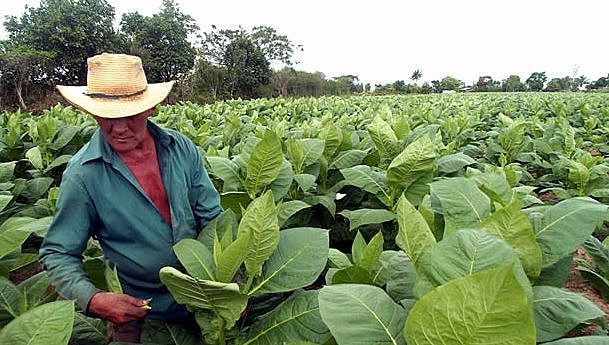 México Agrícola