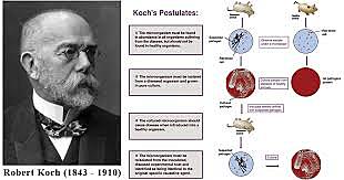 Premio Nobel Robert Kock