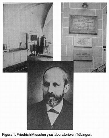 Friedrich Miescher. Descubrimiento ADN.