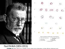 Paul Erlich. "Bala mágica"