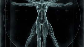 Timeline: Los cuatro humanismos