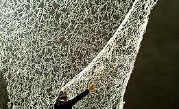 Erwin Bouroullec Algues