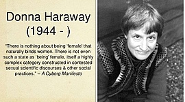 Timeline: Donna Haraway