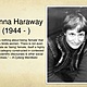 Donna haraway