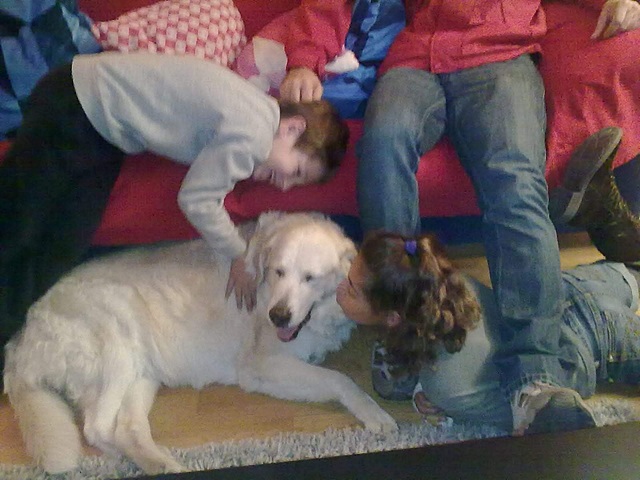 La perdida de mi perra Kira