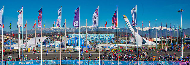 Jocs olímpics Sochi 2014