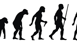Timeline: POSTULADOS DE LA EVOLUCIÓN