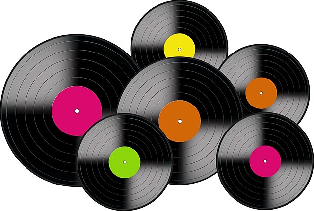 Vinyl Record