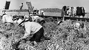 México agrícola 1940