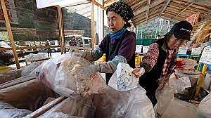 S.XIX La edad de oro del reciclaje.