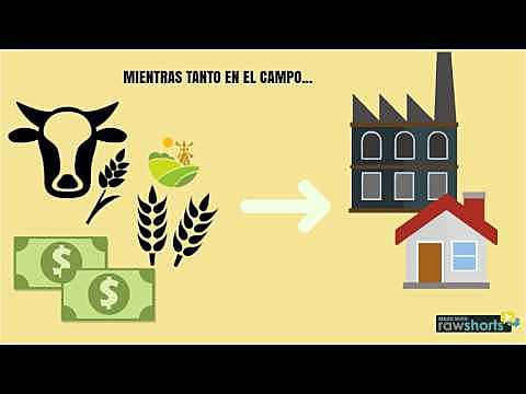 Desarrollo Estabilizador