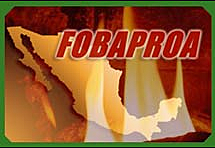 Fondo Bancario de Protección al Ahorro