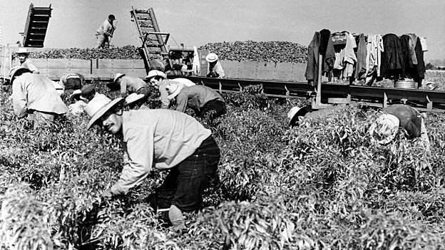México Agrícola 1940