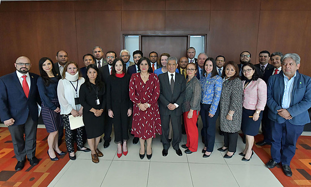 Ley de Profesionalización