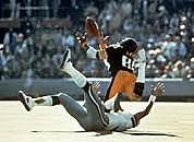 Super Bowl X