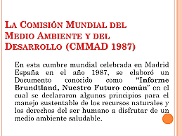 Comisión Mundial del Medio Ambiente y Desarrollo de la ONU