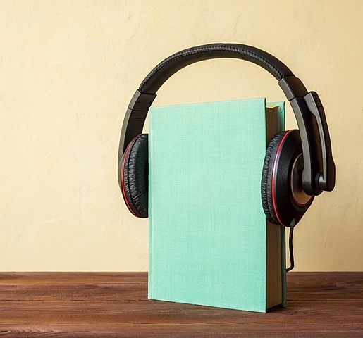 Premio del mejor audiolibro