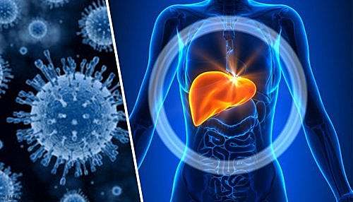 HEPATITIS A-REN TXERTOA AURKITU ZUTEN