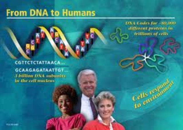 99% del genoma secuenciado