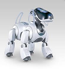 Aibo