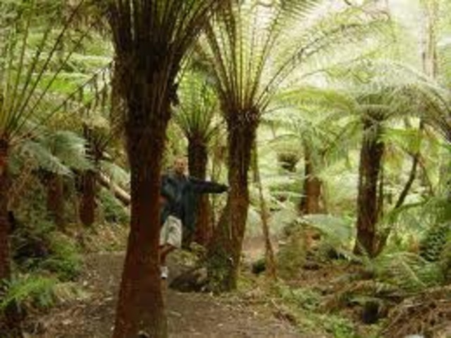 Plant Life Begins Developing