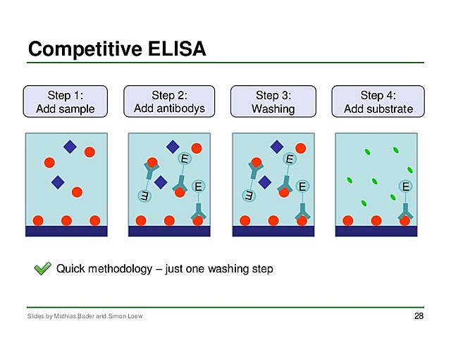 ELISA Test