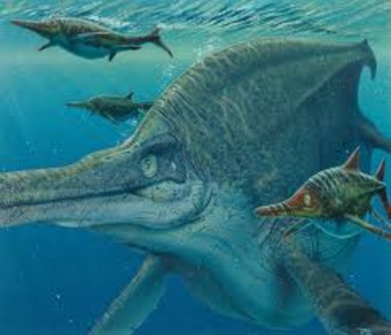 Reptiles Rule The Ocean