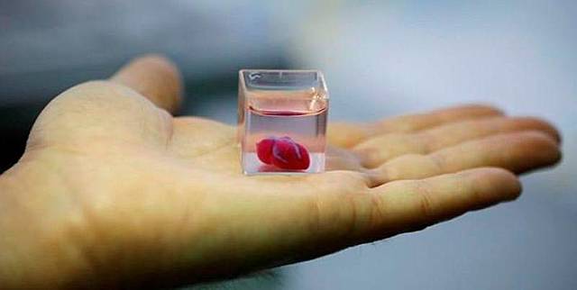 Crean un Corazón con una impresora 3D hecho de tejido humano