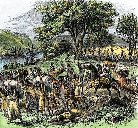 La Guerra del Halcón Negro.