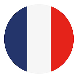 Realización de curso intensivo en francés