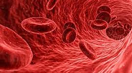 Timeline: History of Blood