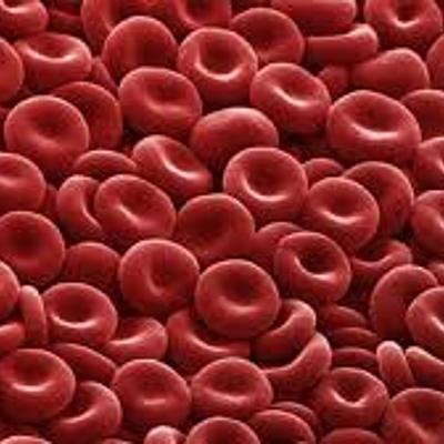 Timeline: The History Of Blood