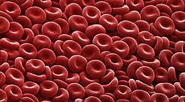 Timeline: The History Of Blood