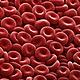 Blood