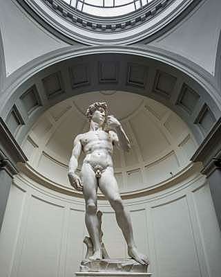 Michelangelo sculpted the statue of David