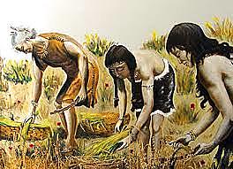 Búsqueda de alimentos