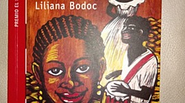 Timeline: El espejo africano Guido Chami