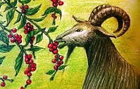 Descubrimiento del café