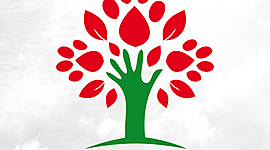 Timeline: vinte e cinco de abril